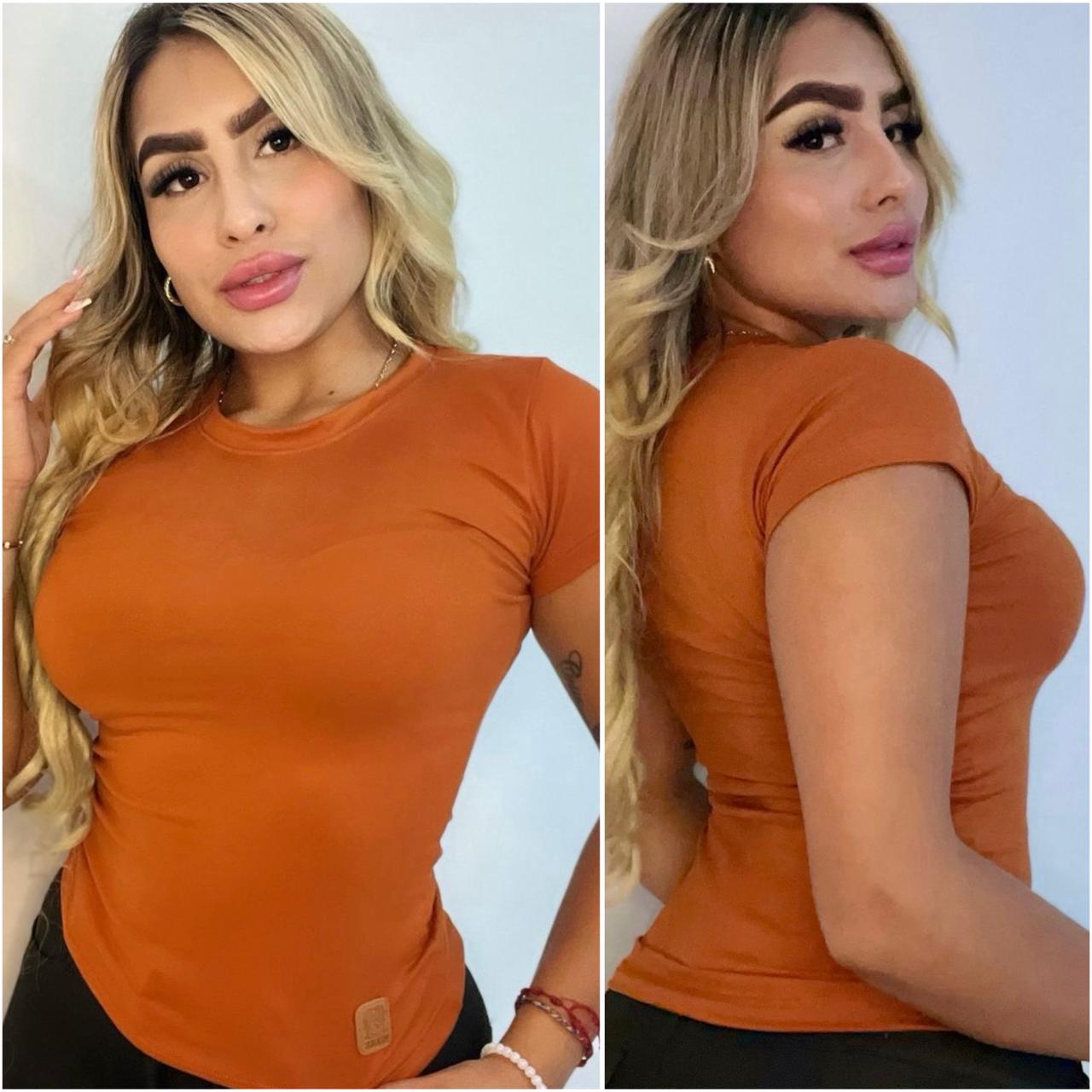 Camiseta Unicolor Terracota